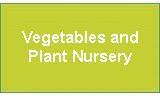 Vegetables and Plant Nursery